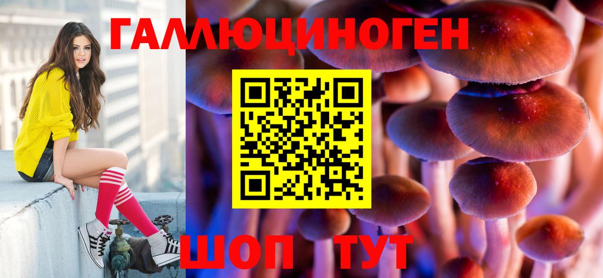 Псилоцибиновые грибы ЛСД Азнакаево