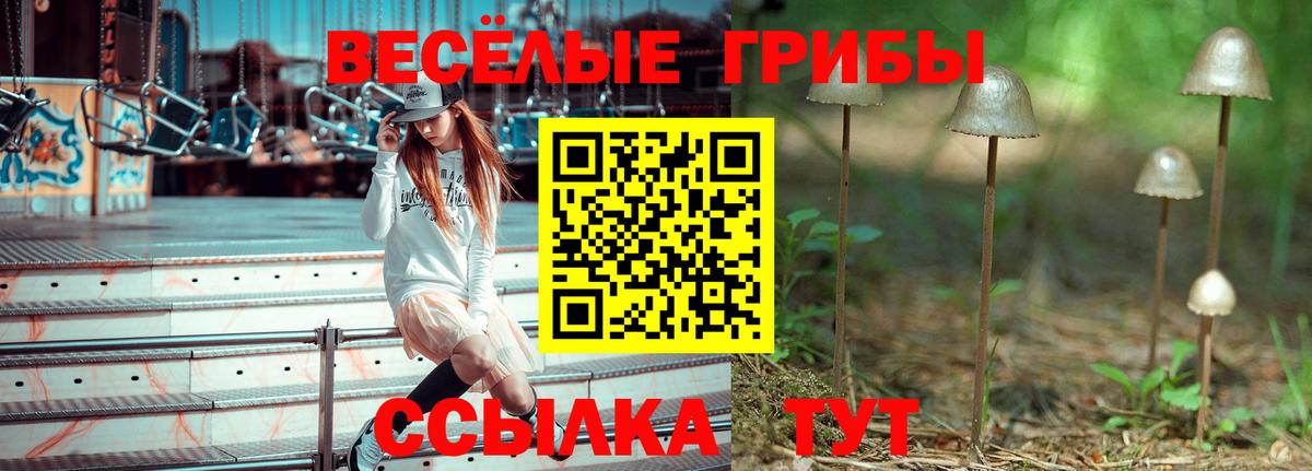 как найти   Вход с VPN  Азнакаево  Псилоцибиновые грибы Psilocybine cubensis 
